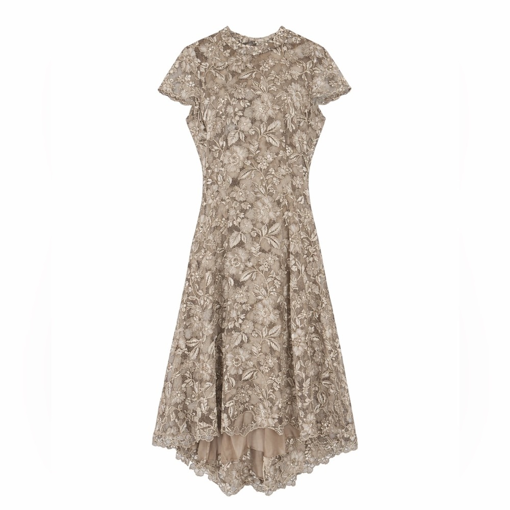Tadashi Shoji Isa Dress Lace Embroidered Tea Length Size 18 - Picture 4 of 10